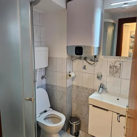 Galic 茨里克韦尼察